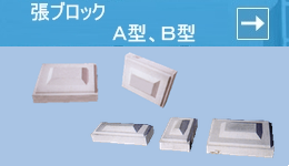 ���u���b�N �`�^�A�a�^